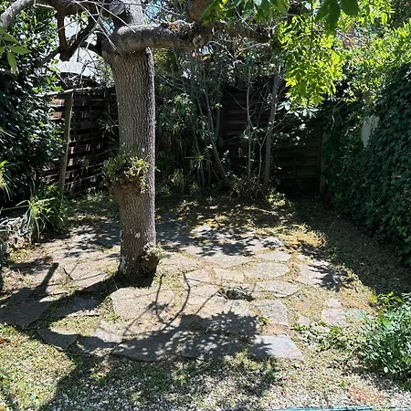 Maison 2 étoiles Proche Plage&marché, Avec Jardin Et Terrasse, Idéale Pour Familles. - Fr-1-197-499 Les Sables-dʼOlonne